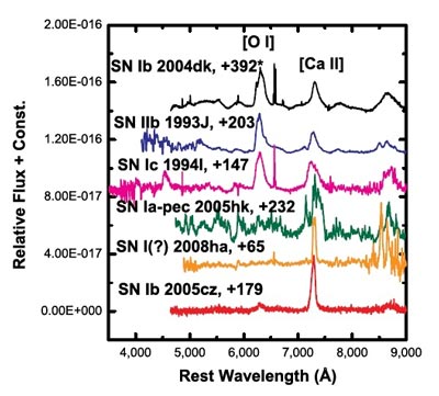 figure1
