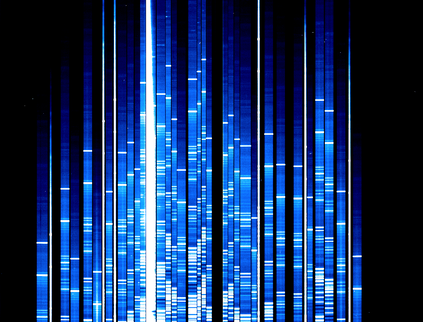 Multi-Object Spectroscopy