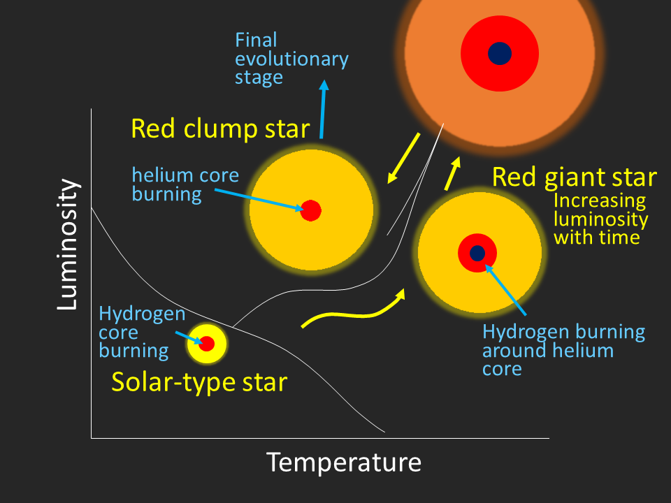 Evolutionary Status Of Extremely Li Enhanced Red Giants Obsevation 