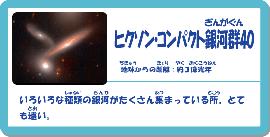 qN\ERpNg񂪂40