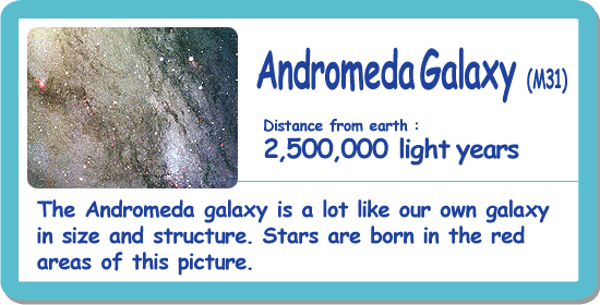 Andromeda Galaxy(M31)